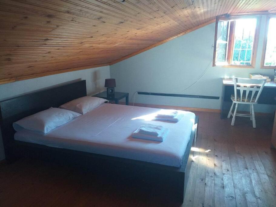 Zephyr Guest House レフォカストロ エクステリア 写真